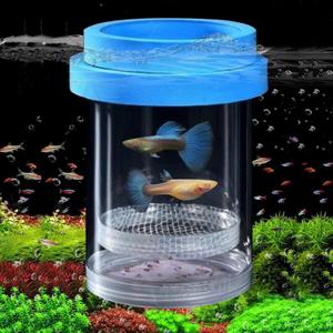 Breeder Box for Fish Tank, Plastic Aquarium Breeding Chamber, Floating Mesh Isolation Hatchery Incubator for Small Fish, Betta Shrimp Clownfish Guppy - Adjustable Nursery Tank Divider (Blue, Medium)