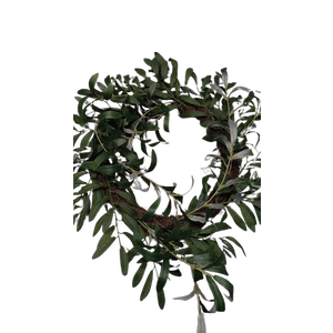 Plant Wreathe 14in