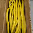 Solid Indoor 12/2 W/G NMB Cable 50ft CoilElectrical Wire 12 Gauge Wire 2 Conductors Non-Metallic with Ground Wire(Yellow)