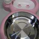 Dog Bowls, Cat Food and Water Bowl Set with Water Dispenser and Stainless Steel Bowl for Cats and Small Dogs - Pink