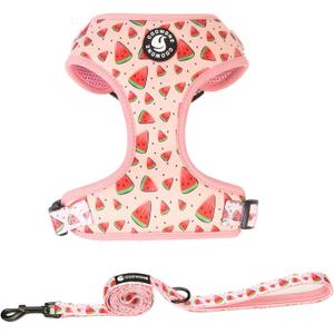 Coowone Dog Harness and Leash Set, Adjustable Puppy Harness and Soft Padded Dog Vest Harness for Small Medium Large Dogs (S (Neck 10.6"-13"; Chest 14"-19.6"), watermelon)