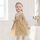 Luckrizyy Girls Dress Velvet Long Sleeve Tutu Dress Kids Sparkly Sequin Tulle Holiday Party Casual Princess Dresses 3-8Y Apricot (Beige)