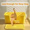 Cat Litter Box with High Sides for Indoor Cats,Low Entry Open Top Cat Litter Pan for Kittens & Senior Cats,High Wall Easy Cleaning Anti-Splashing cat Litter Tray (Grey)