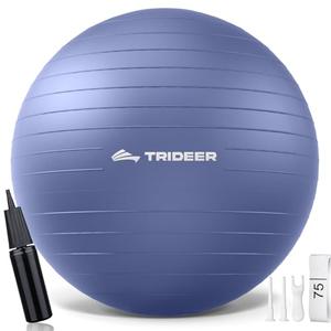 Trideer Yoga Ball for Pregnancy Office Ball Chair– Exercise Ball for Birthing, Labor, Stretching & Core Workout – Anti-Burst, Slip-Resistant for Home Gym, Flexible Seating & Physical Therapy