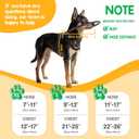 Protective Halo Harness for Blind Dogs,Adjustable Protective Ring Collar Vest, Safe Walking Navigation Aid for Visually Impaired Dogs (13"-17")