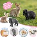 Realistic 14 PCS Easter Bunny Figurines Rabbit Animal Figures Toys | Farm Animal Toy for Cake Toppers, Easter Egg Fillers, Party Favors for Toddlers, Easter Decor, Spring Decorations for Home