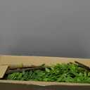 Uqueeten Fake Plants Eucalyptus Stems,Plastics Ficus Stems for Vase Artificial Plants,Greenery Stems Branches for Vase Faux Plants Indoor,Faux Greenery Indoor Vase Fillers for Home Decor 4Pcs Green