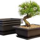 Bonsai Outlet Training Pots with Humidity Trays - Built in Mesh, Six Inch Large Planters + Made from Durable Shatter Proof Poly-Resin, Set of 3 Pot Set