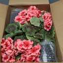lovemoon 2Set Geranium Potted Artificial Flowers,Fake Geranium Plants for Outdoor Home Décor Office Tables Porch Garden Decor (2, Peach)