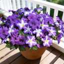 FULLMUSIC Spring Artificial Flowers for Outdoors, UV Resistant Fake Morning Glory, Look Real Faux Silk Plants for Front Door Garden Porch Planter (Purple)