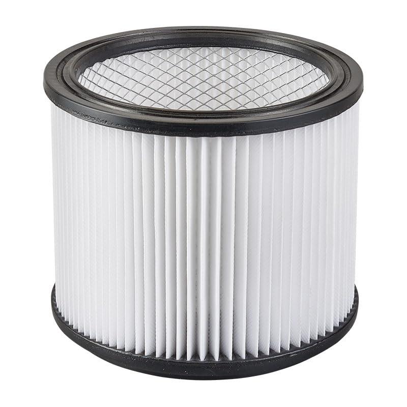 NexLev Replacement HEPA Filter | Compatible with NexLev Corded Mite Remover (MR-01) | Captures 99.99% Dust, Mites & Allergens | Washable & Durable Filter | Easy to Install & Maintain 2 Pack