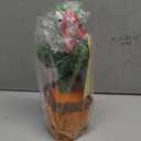 Rechargeable Baby Toys Dancing Talking Cactus Toy, Volume Adjustable, Singing Mimicking Repeating, Easter Gifts/Easter Basket Stuffers for Baby Toddler, Baby Infant Toys Gifts for Girls Boys