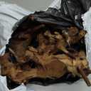 majoywoo Natural Large Coral Driftwood for Aquarium Decor Reptile Decor, Assorted Driftwood Branch 9-14" 2 Pcs, Fish Tank Decoration