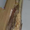 Natural Dried Pampas Grass Decor, 110 PCS Pampas Grass Contains White Bunny Tails Dried Flowers, Artificial Flowers for Bathroom Decor, Bathroom Wall Decor, Office Decor and Baby Shower Decorations