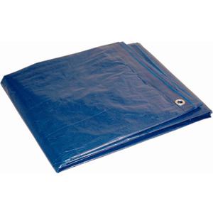 Dry Top 1620 Medium Duty Tarp, 16x20 Feet, Blue