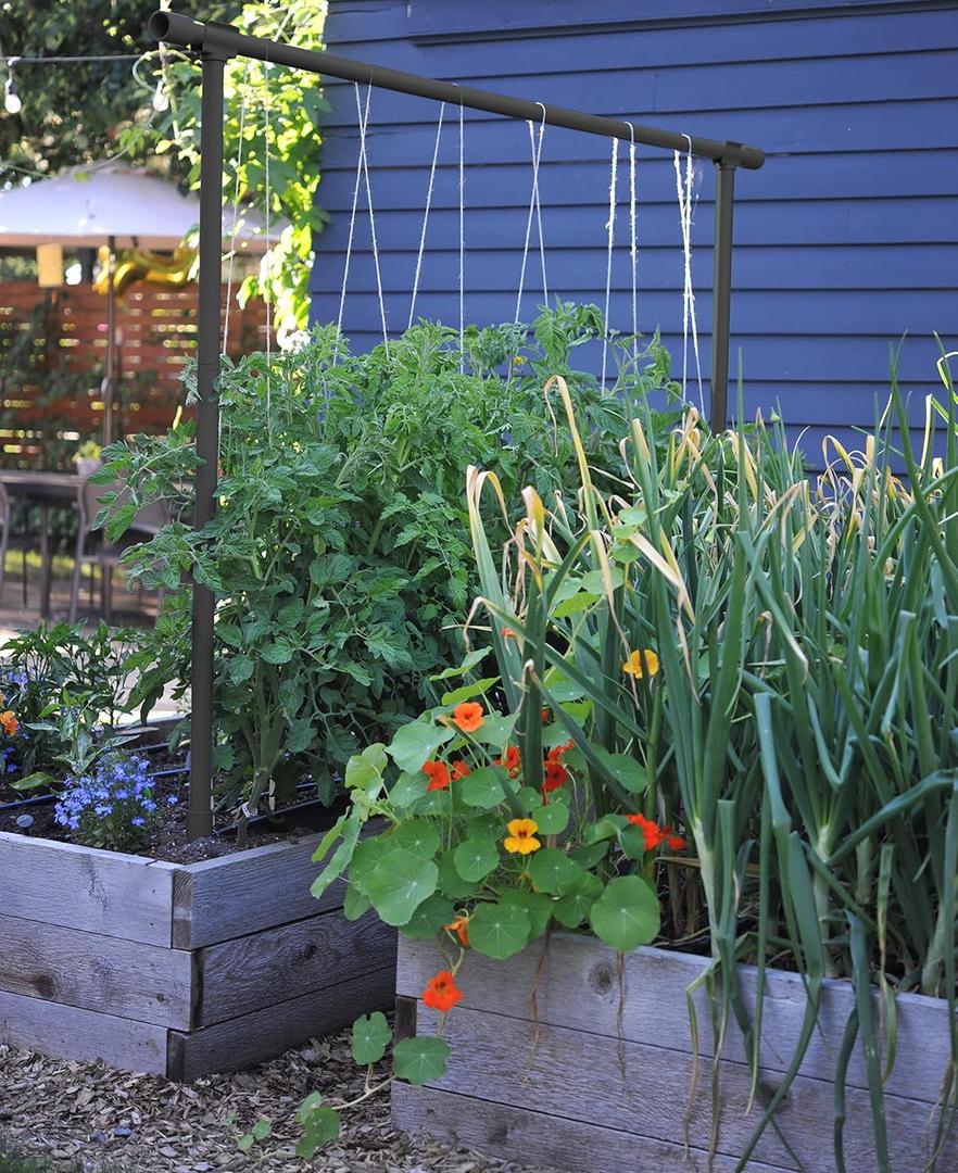 Freyr Trellis - Vegetable Garden Trellis for Tomatoes, Cucumbers, Beans, Peas, and More (Charcoal)