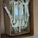 HBSTK 2 Pack 36 Inches Halloween Skeleton Full Body Posable Movable Jonints for Halloween Decoration Dcor, 2 Pack 40Inch Skeleton (White)