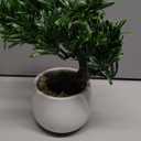 DILATATA Fake Bonsai Tree Zen Juniper Plant 10' Tall Artificial Bonsai with White Ceramic Pot Decorated with Pebbles Indoor Bonsai for Home Office Decor
