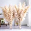 Tall Pampas Grass 20PCS Boho Decor Natural Home Decor Phragmites Dried Flowers Bouquet for Wedding Floral Arrangements Home Decorations (20PCS Tall Pampas Grass)