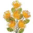 Hollyone 33" Orange-Yellow Artificial Mums Flowers Chrysanthemum Flowers 2Pcs Fake Spider Mum Flower Arrangement Faux Pincushion Flower with 3 Heads Long Stem for Party Centerpiece Bouquet Home Decor