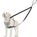 Two Point Control Dog Leash, Reflective Double Leash for No Pull Harness with Soft Handle No Tangle 4ft Dog Leashes Converts to Single Training Leashes for Medium Large Dogs (Black)