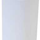 Clorox Toilet Brush and Plunger, White 2 Piece