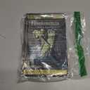 Frankenstein (Ignatius Critical Editions)