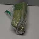 Camping Sleeping Pad, Ultralight Camping Mat with Pillow, Built-in Foot Pump Inflatable Sleeping Pads Compact for Camping Backpacking Hiking Traveling Tent,Single,Green