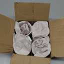 Bone China Coffee Tea Mugs 12-Ounce, Assorted Set of 4 (Birds of Paradise)