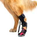 Dog Strap-On Drop Foot Orthotics (Knuckleless Boot Orthotics)  Dog Knee Pads,Corrective Dog Shoes That Safely Lift Toes, Relieve Foot Problems, Arthritis, and Improve Your Dog's gait (M)
