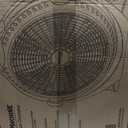 Lasko WINDMACHINE 20" High Velocity Floor Fan with 3 Speeds, 360 Directional Airflow, Portable Air Circulator Fan for Home, Garage & Workshop, Fully Assembled, Gray, 3301, 25.1 in. High