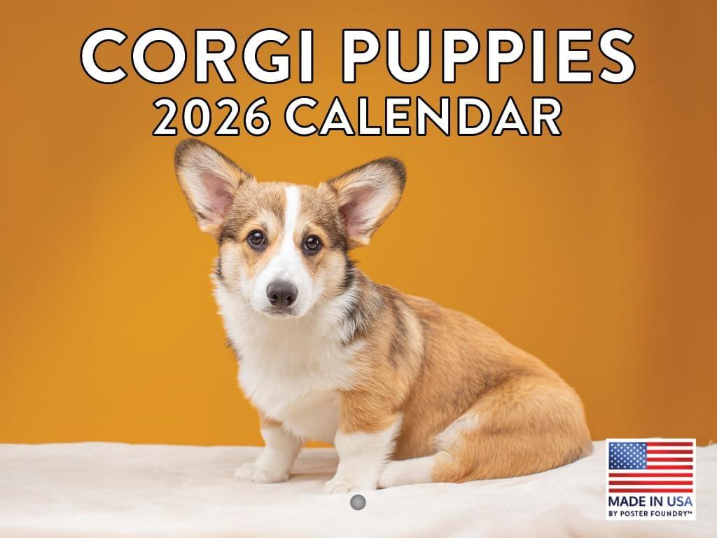 Corgi Puppy Calendar 2026 Wall Monthly Corgis Gifts For Corgi Lovers Women Men Mom Dad | American Made In The USA