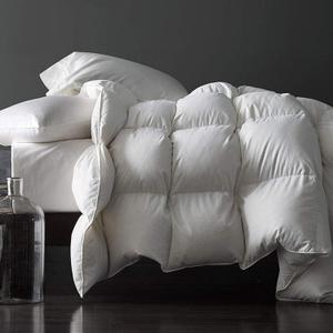 Royoliving Premium Feathers Down Duvet Insert Comforter Queen Size Heavyweight Thickened Winter White 100% Cotton Cover with Corner Tabs (90x90, 60 oz)