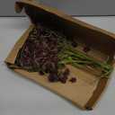 6 Pcs Fall Artificial Soft Plum Sedum Berry Stem Autumn Faux Berry Picks Branches Faux Spray for Home Halloween Thanksgiving Farmhouse Mantel Harvest DIY Decorations