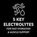 Pedialyte Sport Electrolyte Powder, Fast Hydration with 5 Key Electrolytes for Muscle Support Before, During, & After Exercise, Fruit Punch, 0.49 Oz Sachets 6 Count (Pack of 6)