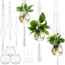 6 Pieces Plastic Plant Propagation with Boho Macrame Plant Hanger Wall Plant Propagation Station Hanging Plant Holder Include 6 Hooks Kit for Indoor Home Garden Office Decor 3 Size(White)