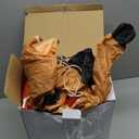 Garma 14 FT Christmas Inflatables Outdoor Decorations, Santa Claus Sleigh and 9 Reindeers Inflatable Xmas Blow up Yard Decoration for Garden Lawn Home Holiday Party Decor (Christmas Santa+9 Reindeers)