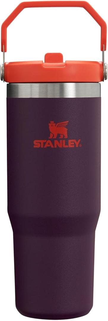 Stanley IceFlow Flip Straw Tumbler with Handle 30 oz | Twist On Lid and Flip Up Straw | Leak Resistant Water Bottle | Insulated Stainless Steel |BPA-Free | Plum