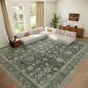 Washable 9x12 Area Rugs for Living Room, Boho Non-Slip Vintage Distress Lager Rugs for Bedroom Dining Room Nursery Office, 0.3" Neutral Oriental Throw Thin Carpet, Sage Green/Multi, E1