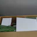 6FT Artificial Palm Tree, Tall Faux Palm Tree Indoor with Fake Plants Tall, Artificial Plants with Lifelike Leaves for Home Office Decor (White)