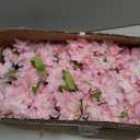 6Ft Tall Cherry Blossom Artificial Tree,Fake Pink Cherry Blossom Tree,Lifelike Decorative Plant in Pot for Indoor/Outdoor, Christmas, Garden,Home Office Dec