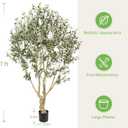Realead Faux Olive Tree 7ft - Large Artificial Olive Tree Indoor with Realistic Leaves and Olives - Full and Grand Design Fake Olive Tree with Sturdy Base for Indoor Outdoor Office Decor