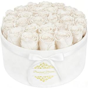 17 Forever Flowers in a Luxury Suede Box, Preserved Roses Birthday Gifts for Women, Romantic Anniversary Valentines Day Gift for Her Girlfriend Wife, White
