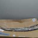 Area Rug 6x9 Vintage Rug: Washable Indoor Medallion Rugs Low Pile Distressed Floor Carpet Retro Accent Rug for Living Room Bedroom Kitchen Dining Table Home Office(Green/Yellow, 6'x9')