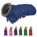 Fragralley Winter Coat - Windproof, Adjustable, Waterproof, Turtleneck Fleece Jacket for Dogs in Cold Weather (Blue, L)