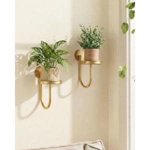 Leaf&lull Wall Plant Holder Planter with Wall Planters for Indoor Plants Plant Hanger Hanging Plant Holder Wall Hanging Decor 2 Pack Golden