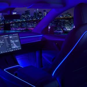 Nestour 2021 2022 2023 Tesla Model 3 Y Interior Car Neon Lights (Center Console+Dashboard+Seat+4 Foot Lights) with Matching Armrest Organizer, Ambient APP-Controlled RGB LED Strip Lights