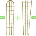 Natural Bamboo Trellis, 4Feet,Fan-Shaped+U-Shape,4Pack,Plant Support Trellis for Outdoor and Indoor Potted Climbing Plants,Vegetables, Cucumber, Tomato, Hoya,