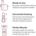 Anova Culinary (ANOVA) Precision Cooker Nano, Black, Small