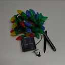 ITICdecor Solar String Christmas Lights C7 31ft 50 LED Colourful Strawberry Hanging Lights Outdoor Waterproof Green Wire Fairy Light Decoration for Garden Patio Yard Camping Party Gifts for Dad Mom (Multicolor)